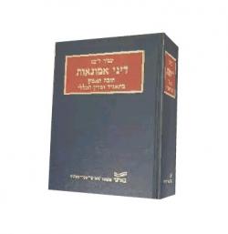 דיני אמונאות-חובת האמון בתאגיד ובדין הכללי