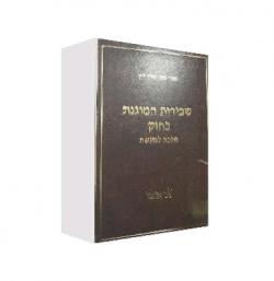 שכירות המוגנת בחוק הלכה למעשה-יד שניה