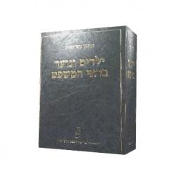 ילדים ונוער בראי המשפט