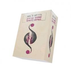 נשואים אזרחיים בצלמנו כדמותנו - יד שניה