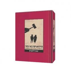 הידועים בציבור בראי התיאוריה האזרחית של דיני המשפחה - יד שניה