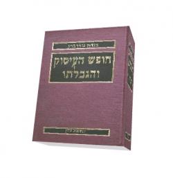 חופש העיסוק והגבלתו - יד שניה