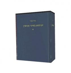 יסודות בדיני עונשין - כרך ב-יד שניה