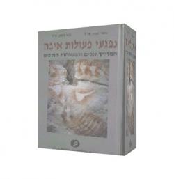 נפגעי פעולות איבה-המדריך לנכים ולמשפחות הנספים