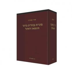 סוגיות נבחרות בדיני ההוצאה לפועל