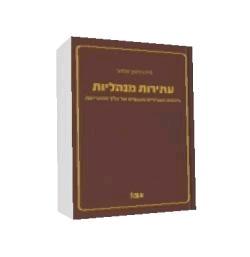 עתירות מינהליות-היבטים תיאורטיים ומעשיים של הליך ההתדיינות- יד שניה