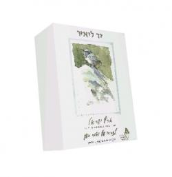 יד ליאיר לזכרו של יאיר בשן-יד שניה