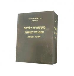 משמורת ילדים ואפוטרופסות הלכה ומעשה - יד שניה