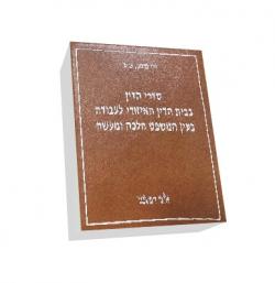 סדרי הדין בבית הדין האיזורי לעבודה - יד שניה