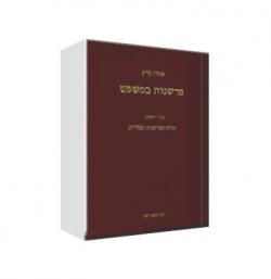 פרשנות במשפט כרך א - תורת הפרשנות הכללית