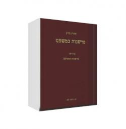 פרשנות במשפט כרך ב - פרשנות החקיקה