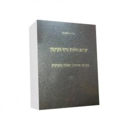 יסודות והלכות בדיני מקרקעין כרך א - יד שניה
