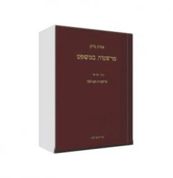 פרשנות במשפט כרך ה - פרשנות הצוואה