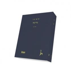 נזיקין - כרך א - יד שניה