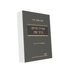 אחריות המייצג בדיני המס - יד שניה