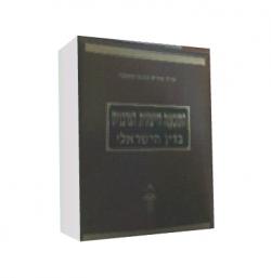 התובענה הייצוגית הצרכנית בדין הישראלי -יד שניה