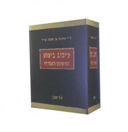 עיכוב ביצוע במשפט האזרחי-יד שניה