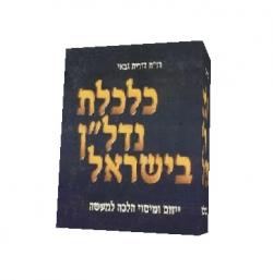 כלכלת נדל