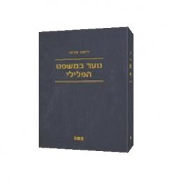 נוער במשפט הפלילי