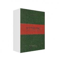 נוער בפלילים שפיטה דרכי טיפול וענישה-יד שניה