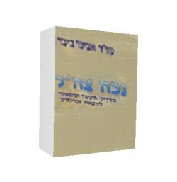 נכה צה