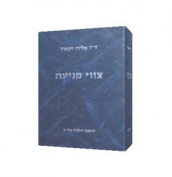 צווי מניעה-חלק כללי+חלק ב - יד שניה