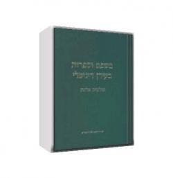 משפט וספרות בעידן דיגיטלי-יד שניה