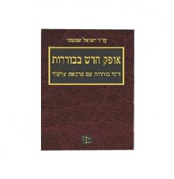 אופק חדש בבוררות -מהדורה 1-יד שניה