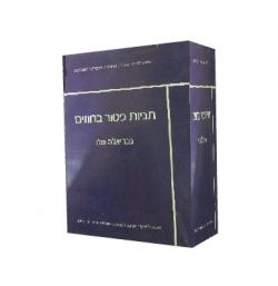 תניות פטור בחוזים-יד שניה