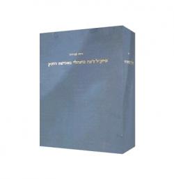 שיקול דעת מינהלי באכיפת החוק-יד שניה