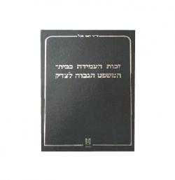 זכות העמידה בבית המשפט הגבוה לצדק-יד שניה