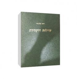 עוולות חוקתיות-ההגנה הכספית על הזכות החוקתית