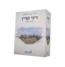 דיני קניין - פרקי יסוד - יד שניה