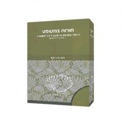 הורות במשפט - יד שניה